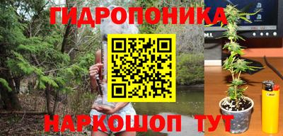 гашиш Ачхой-Мартан