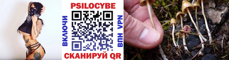 Псилоцибиновые грибы прущие грибы  Асбест 